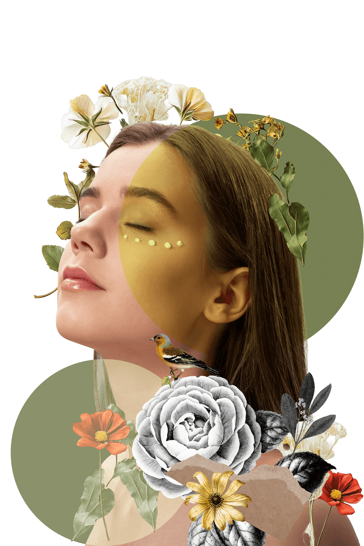 Face